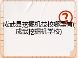 成武县挖掘机技校哪里有(成武挖掘机学校)