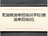 芜湖镜湖单招培训学校(镜湖单招培训)