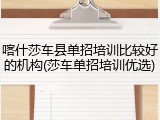 喀什莎车县单招培训比较好的机构(莎车单招培训优选)