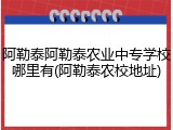 阿勒泰阿勒泰农业中专学校哪里有(阿勒泰农校地址)