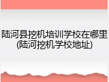 陆河县挖机培训学校在哪里(陆河挖机学校地址)