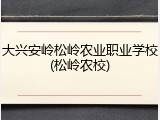 大兴安岭松岭农业职业学校(松岭农校)
