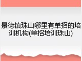 景德镇珠山哪里有单招的培训机构(单招培训珠山)