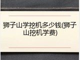 狮子山学挖机多少钱(狮子山挖机学费)