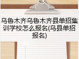 乌鲁木齐乌鲁木齐县单招集训学校怎么报名(乌县单招报名)