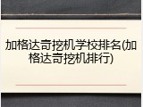 加格达奇挖机学校排名(加格达奇挖机排行)