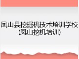 凤山县挖掘机技术培训学校(凤山挖机培训)