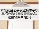 攀枝花盐边县农业技术学校单招分数线畜牧兽医(盐边农校牧医单招分)
