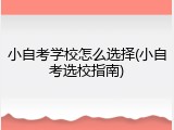 小自考学校怎么选择(小自考选校指南)