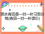 丽水青田县一对一补习班价格(青田一对一补课价)