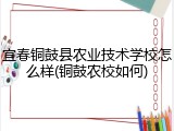 宜春铜鼓县农业技术学校怎么样(铜鼓农校如何)