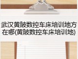 武汉黄陂数控车床培训地方在哪(黄陂数控车床培训地)