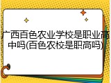 广西百色农业学校是职业高中吗(百色农校是职高吗)