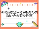 湖北有哪些自考学校职校好(湖北自考职校推荐)