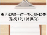 鸡西梨树一对一补习班价格(梨树1对1补课价)