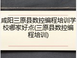 咸阳三原县数控编程培训学校哪家好点(三原县数控编程培训)