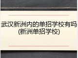 武汉新洲内的单招学校有吗(新洲单招学校)