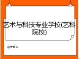 艺术与科技专业学校(艺科院校)