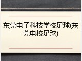 东莞电子科技学校足球(东莞电校足球)