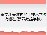 泰安新泰数控加工技术学校有哪些(新泰数控学校)