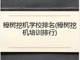 樟树挖机学校排名(樟树挖机培训排行)