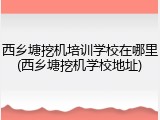 西乡塘挖机培训学校在哪里(西乡塘挖机学校地址)