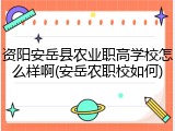 资阳安岳县农业职高学校怎么样啊(安岳农职校如何)