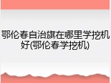 鄂伦春自治旗在哪里学挖机好(鄂伦春学挖机)