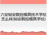 六安裕安数控模具技术学校怎么样(裕安数控模具学校)