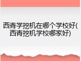 西青学挖机在哪个学校好(西青挖机学校哪家好)