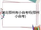 湖北鄂州有小自考吗(鄂州小自考)