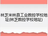 林芝米林县工业数控学校地址(林芝数控学校地址)