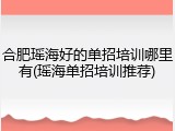 合肥瑶海好的单招培训哪里有(瑶海单招培训推荐)