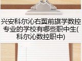 兴安科尔沁右翼前旗学数控专业的学校有哪些职中生(科尔沁数控职中)