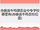 赤峰翁牛特旗农业中专学校哪里有(赤峰翁牛特农校位置)