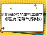 芜湖南陵县的单招集训学校哪里有(南陵单招学校)