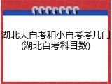 湖北大自考和小自考考几门(湖北自考科目数)