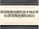 阿克陶县挖掘机技术培训学校(阿克陶挖掘机培训)