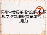 抚州宜黄县单招培训学校正规学校有那些(宜黄单招正规校)
