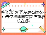 呼伦贝尔新巴尔虎右旗农业中专学校哪里有(新右旗农校在哪)