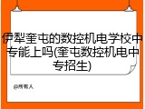 伊犁奎屯的数控机电学校中专能上吗(奎屯数控机电中专招生)