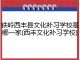铁岭西丰县文化补习学校是哪一家(西丰文化补习学校)
