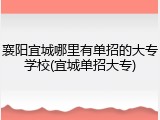 襄阳宜城哪里有单招的大专学校(宜城单招大专)