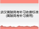 武汉黄陂高考补习收费标准(黄陂高考补习费用)