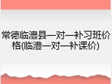常德临澧县一对一补习班价格(临澧一对一补课价)