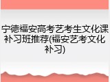 宁德福安高考艺考生文化课补习班推荐(福安艺考文化补习)