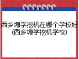西乡塘学挖机在哪个学校好(西乡塘学挖机学校)