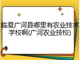 临夏广河县哪里有农业技术学校啊(广河农业技校)