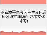 龙岩漳平高考艺考生文化课补习班推荐(漳平艺考文化补习)