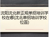 沈阳沈北新正规单招培训学校在哪(沈北单招培训学校位置)